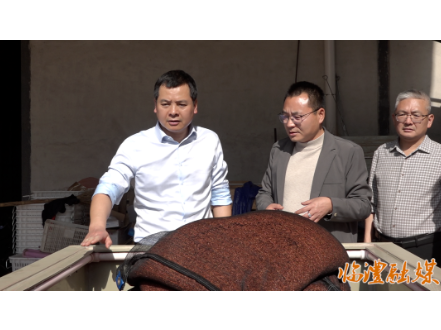 李雨初督导春耕备耕、安全生产、防汛备汛、森林防灭火等工作