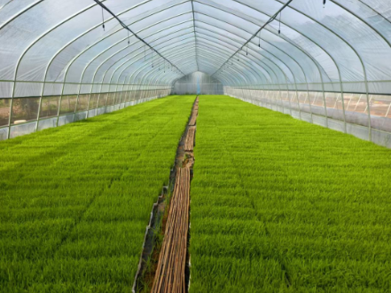 从人水相争到人水共生 洞庭湖团洲垸“重生”记