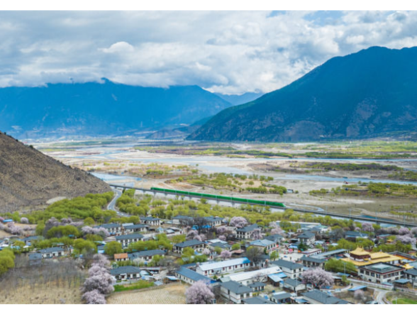 人民领袖｜黄土地上的生态守望