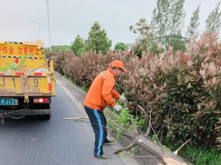临澧县公路建设养护中心：用心管养 筑牢国省干线道路度汛安全“基石”