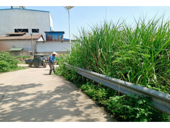 安福街道总庙社区开展道路环境清理整治行动