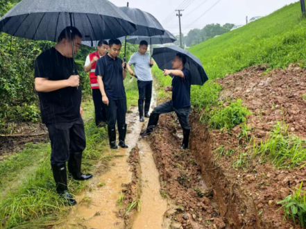 望城街道：闻“汛”而动 筑牢汛期“安全堤”