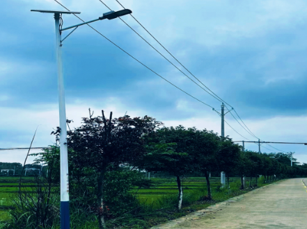 爱心路灯暖民心 公益善举助振兴