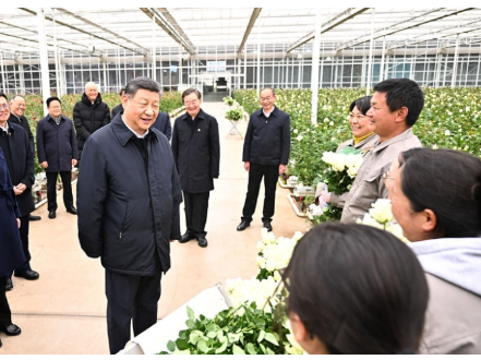 人民之心｜古槐树下的问答