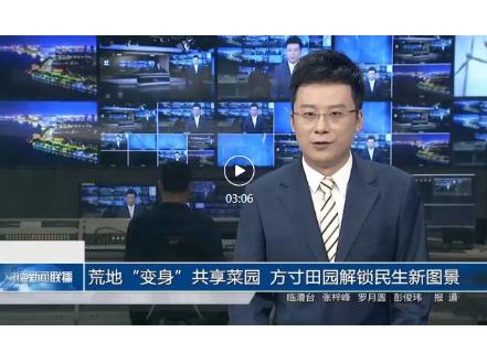 常德新闻联播 | 临澧：荒地“变身”共享菜园 方寸田园解锁民生新图景