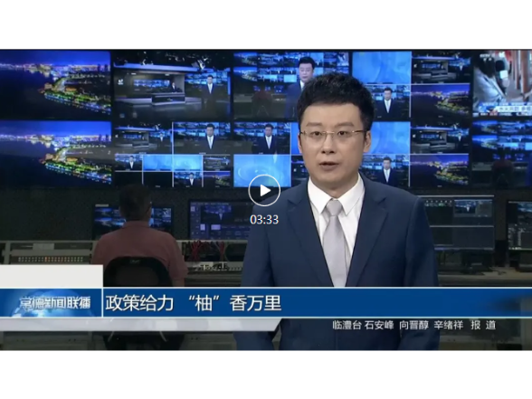 常德新闻联播 | 临澧：政策给力 “柚”香万里
