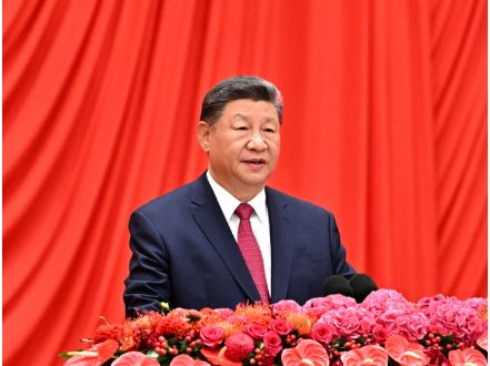 深入学习贯彻习近平党建思想系列述评之四