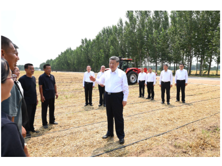 此行间·跟随总书记到田间地头，看农业农村现代化新画卷