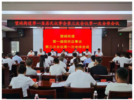 望城街道第一届居民议事会第三次会议顺利召开