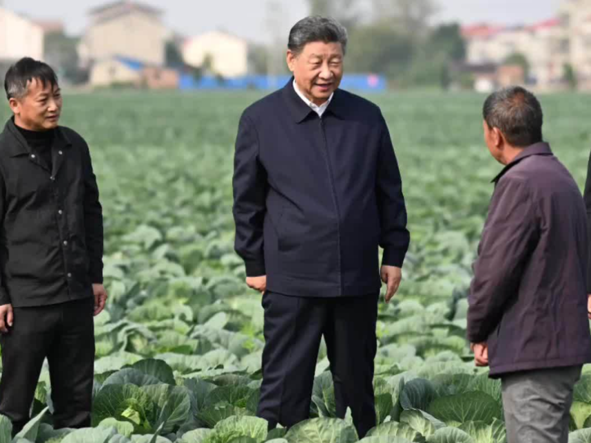 总书记引领强国之路｜加快农业农村现代化步伐