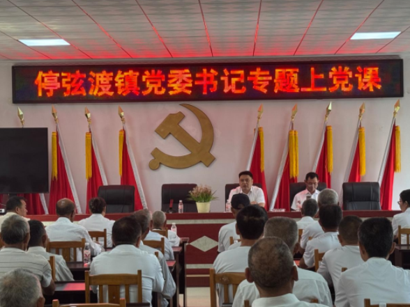 树牢正确政绩观 激扬实干新担当——停弦渡镇开展“七一”专题党课