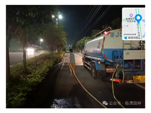 盛夏护绿守初心 匠心耕耘满城荫