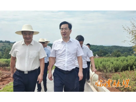全省林业产业高质量发展现场推进会走进临澧