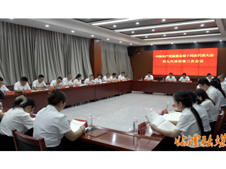 【聚焦党代会】李雨初、胡彬彬等参加中国共产党临澧县第十四次代表大会代表团分组讨论
