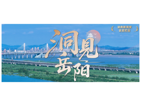 洞见岳阳丨告别“双城竞争叙事”，读懂区域协调发展新逻辑
