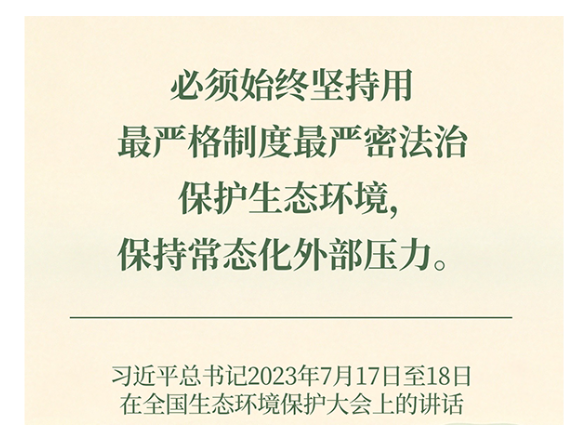 良法善治·回响｜一片古柏，见证制度的力量