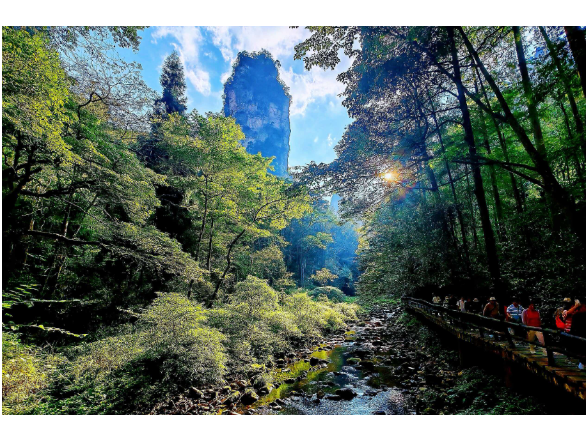 芙蓉国评论丨走出流量短视，大张家界“大”在哪
