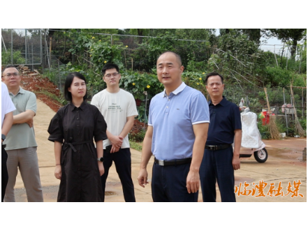 胡彬彬专题调研城市管理更新提质工作