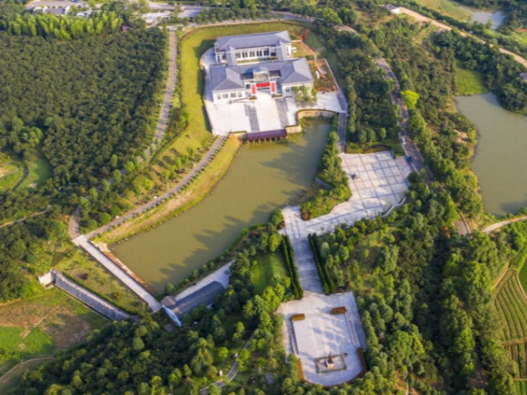 林下巧做加减法 三金铺就致富路 ——临澧以立体林业践行“两山”理念