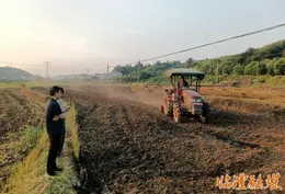 临澧停弦渡镇：织密秸秆禁烧“防护网” 疏堵结合守护碧水蓝天