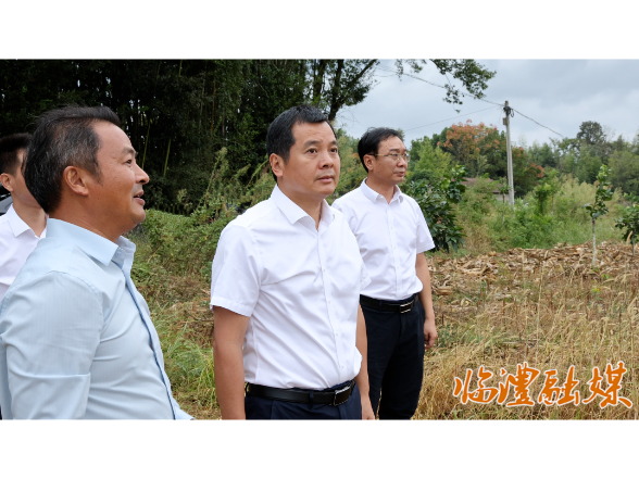 李雨初到太浮镇调研指导工作