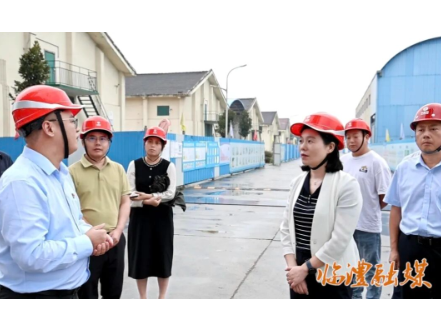 临澧县领导到新安镇调研督导重点工作