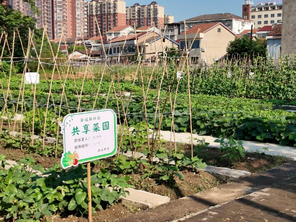 从乱烧到共治，临澧这波操作，绝了！