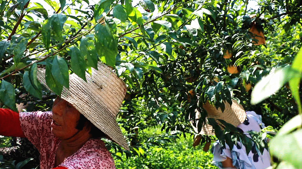 截图_13_副本.jpg 截图_13_副本.jpg