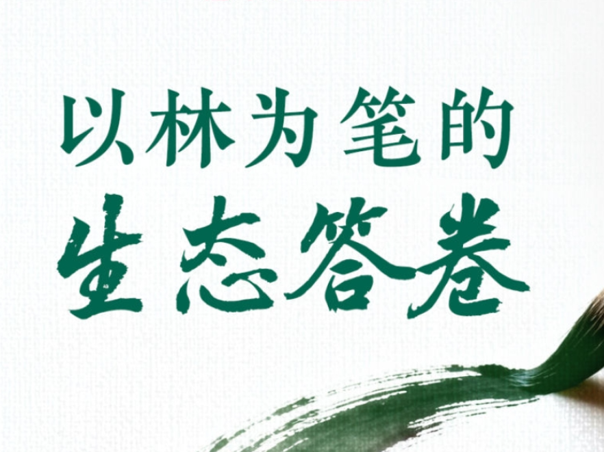 习近平总书记关切事｜以林为笔的生态答卷