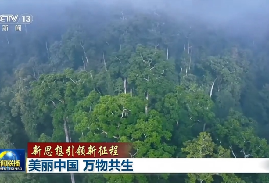 新思想引领新征程丨美丽中国 万物共生