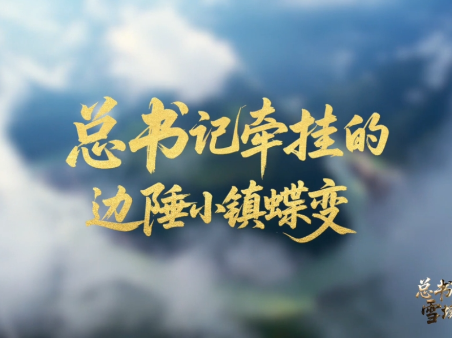 学习·故事丨总书记牵挂的边陲小镇蝶变
