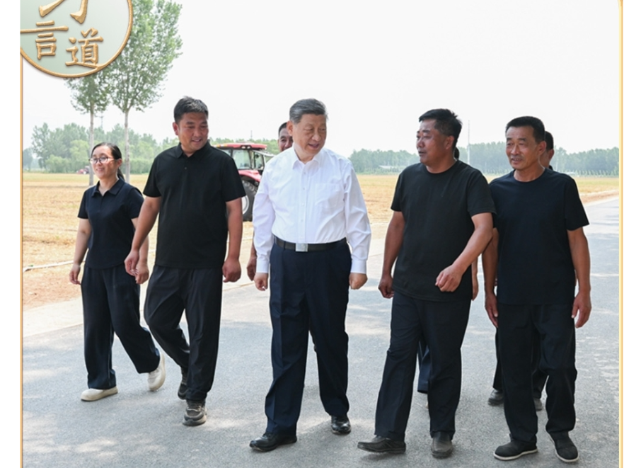 习言道｜走到田间地头，总书记说完夏粮说秋粮