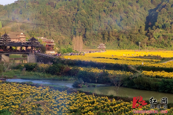 10.27图说（新平台）.jpg