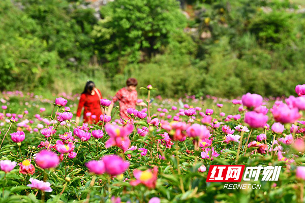 4.29综合（新平台）.jpg