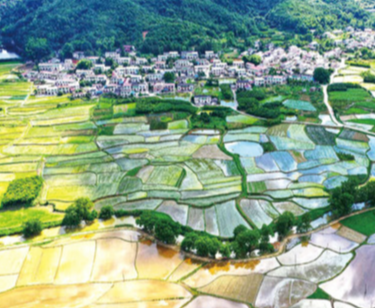 6月17日茶陵手机报