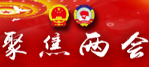 政治协商 民主监督  参政议政