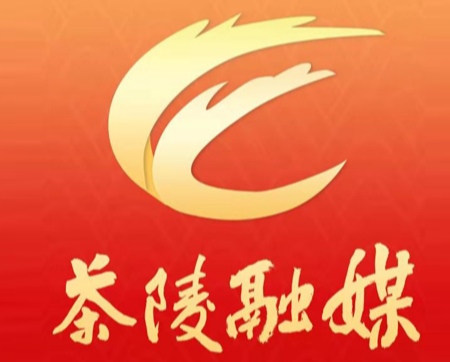 说茶陵之茶