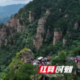 8月12日茶陵手机报