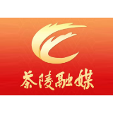 茶陵荣获全省县域金融生态评估A级县