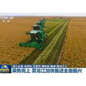 【奋斗百年路 启航新征程·今日中国】乘势而上 黑龙江加快推进全面振兴