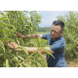 【退役军人风采】谭龙康：扎根基层为民办事的“兵支书”