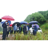 国家矿山安全监察局山东局异地监察组来茶督查矿山安全生产工作