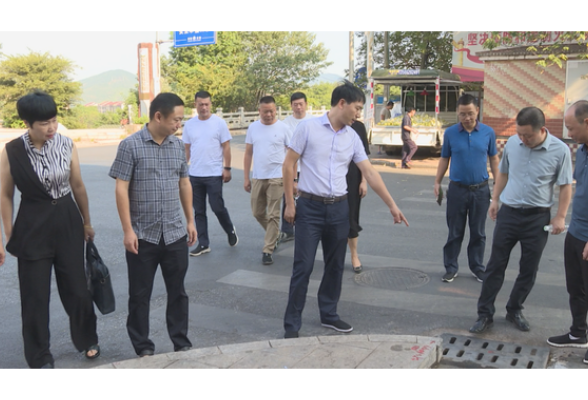 茶陵县人大常委会组织开展2022年代表票决民生实事事项监督活动