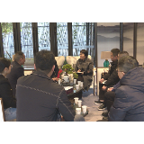 李甜甜督查仙人湾山水城项目推进情况