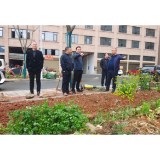 茶陵：着力解决征拆领域清零扫尾和省委巡视组交办问题