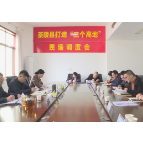 茶陵县调度近期重点项目工作