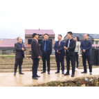 何文龙到严塘镇调研湾里红红色文化园项目建设工作