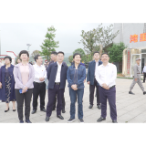 江小忠一行来茶调研文明创建、项目建设等工作