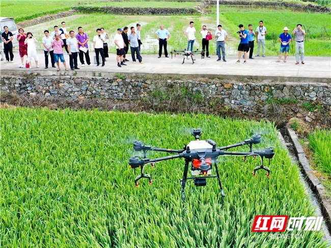 6.24图说-新.jpg