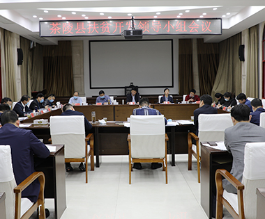 【巩固脱贫攻坚成果】茶陵县扶贫开发领导小组会议召开